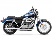 Harley-Davidson XL 1200 C Sportster